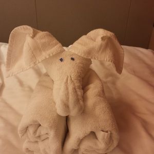 Meet your Posher, Desiree